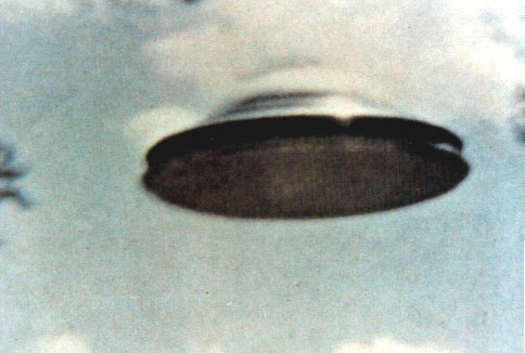 Fot. #D8 (S1d w [1/5])